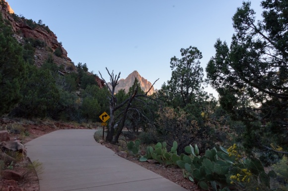 Zion National Park | Utah | Pa'rus Trail | Wheelchair Accessible | Watchman | Nature | Landscape | Canyon | October 2017 | Images by RJM 