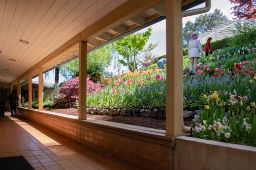Crystal Hermitage | Ananda Village | Nevada City | Northern California | gardens | tulips | wheelchair accessible | garden terrace | breezeway
